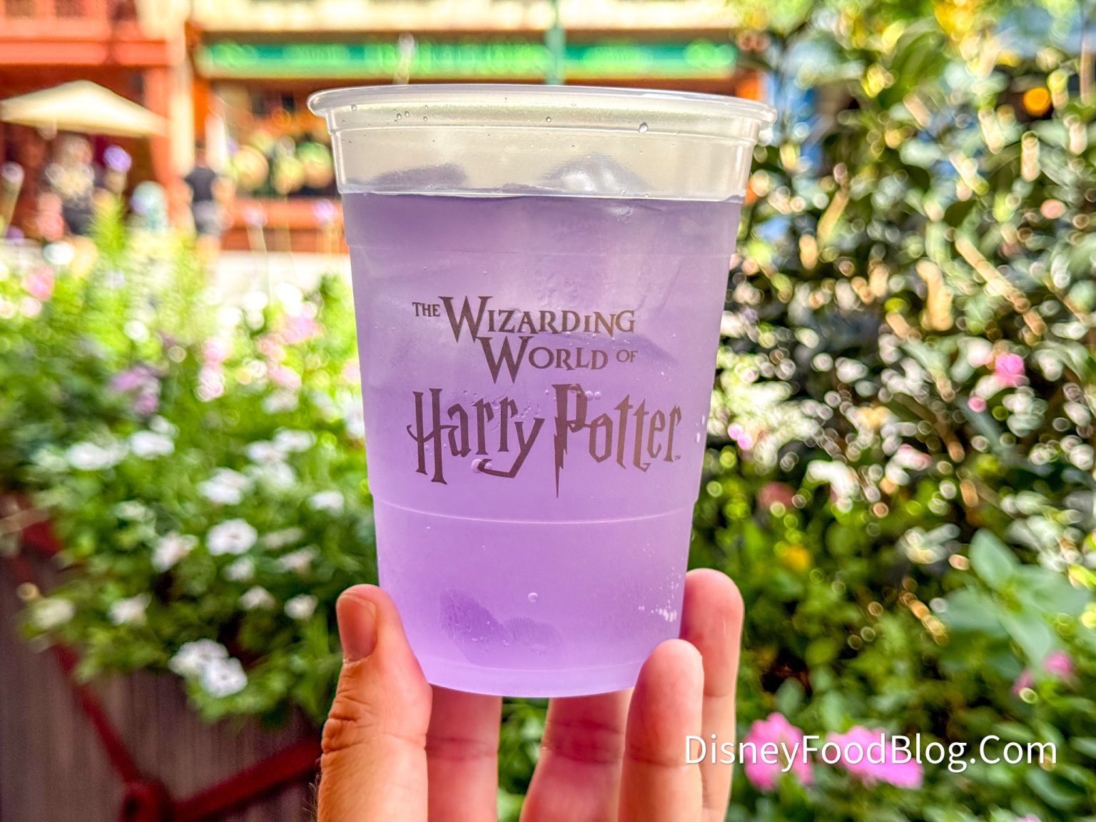 Pasted image 20250925162613.jpg|100